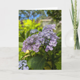 Tarjeta Flores de Hortensia Lavanda
