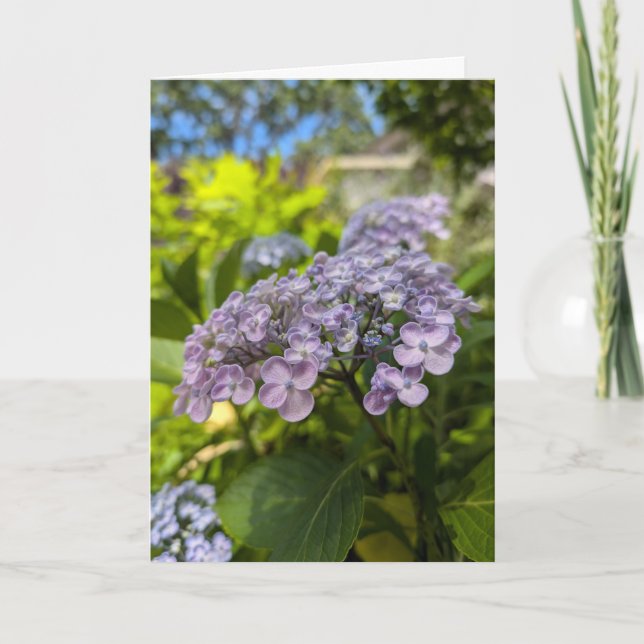 Tarjeta Flores de Hortensia Lavanda (Anverso)