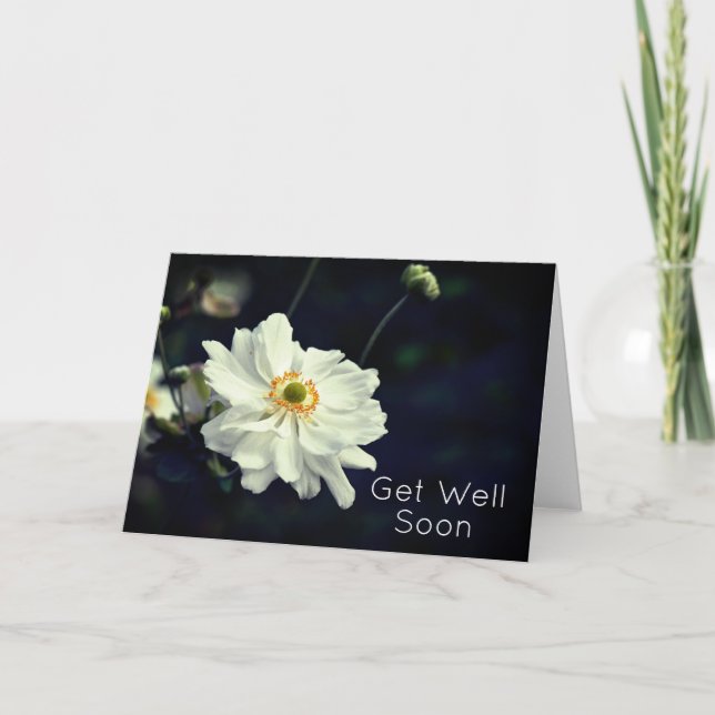 Tarjeta Flores de jardín de anémonas blancas se recuperan  (Anverso)