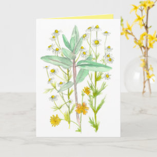 Tarjeta Flores De Jardín De Milkweed De Chamomile Pensando