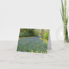Tarjeta Flores de la primavera - río de jacintos