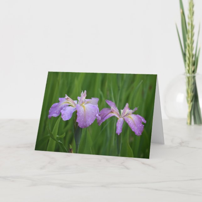 Tarjeta Flores de lavanda Notecards (Anverso)