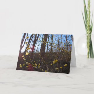 Tarjeta Flores de luciérnagas en primavera