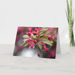 Tarjeta Flores de manzana de cangrejo rojo