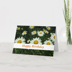 Tarjeta flores de margarita blancas feliz cumpleaños