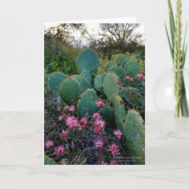 Tarjeta Flores de mostaza de hadas rosadas y cactus de ore