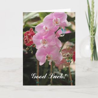 Tarjeta Flores de orquídeas rosas