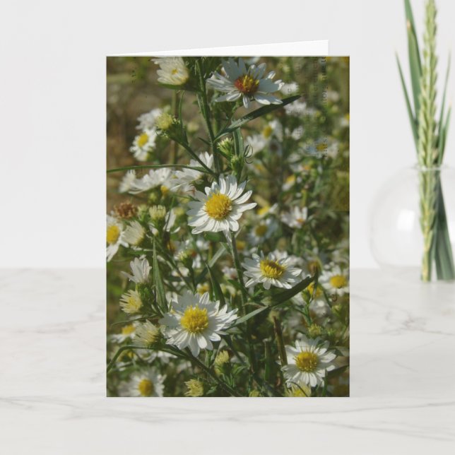 Tarjeta Flores de otoño en todas las ocasiones (Anverso)