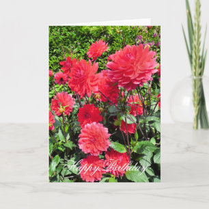 TARJETA FLORES DE PAÍSES GARDEN