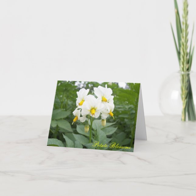 Tarjeta Flores de papa Notecard (Anverso)