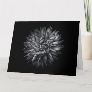 Tarjeta Flores De Patio Trasero En Blanco Y Negro 20