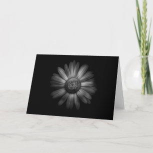 Tarjeta Flores De Patio Trasero En Blanco Y Negro No 31