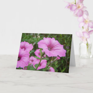 Tarjeta Flores de Petunia púrpura y follaje verde