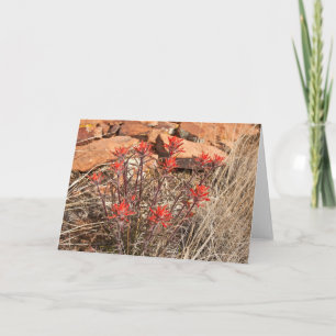 Tarjeta Flores de Pincel de Pintura Indio