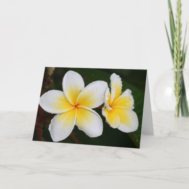 Tarjeta Flores de plumeria (Anverso)