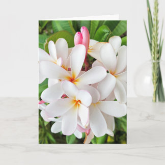 Tarjeta Flores de plumeria