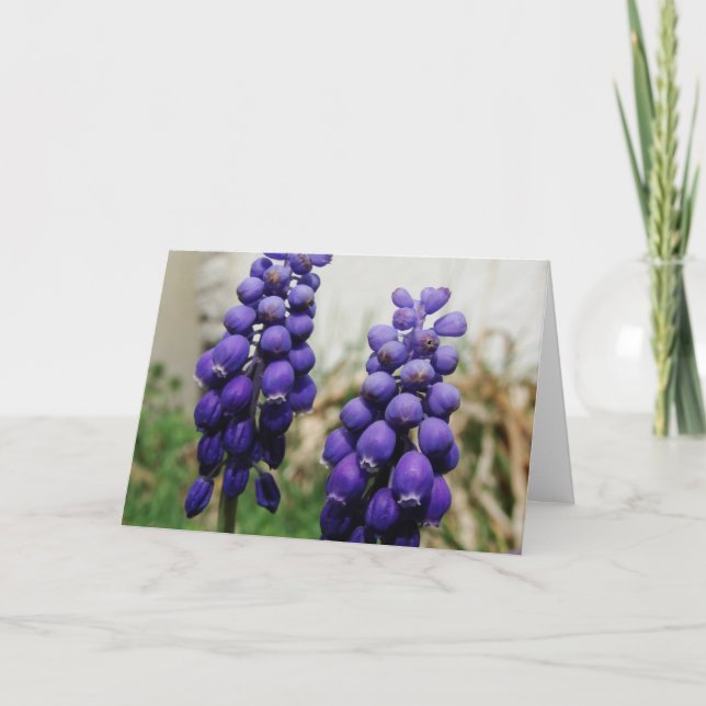 Tarjeta Flores de primavera (Anverso)