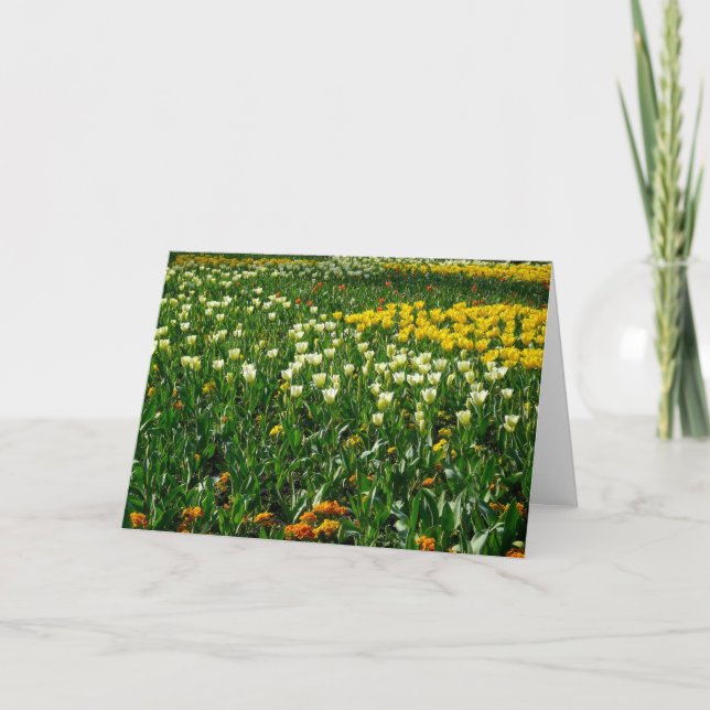 Tarjeta Flores de primavera (Anverso)