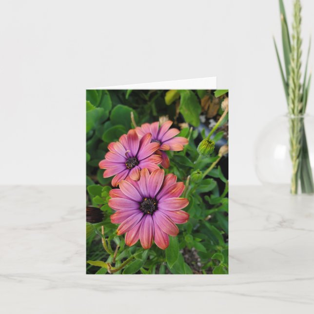 Tarjeta Flores de primavera (Anverso)