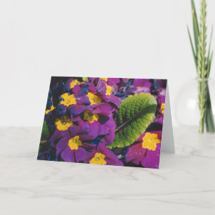 Tarjeta Flores de primavera