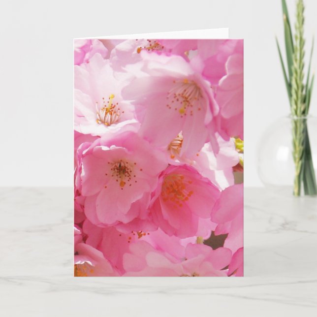 Tarjeta Flores de primavera rosada (Anverso)