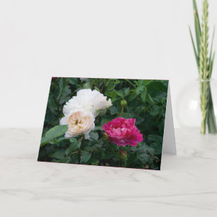 Tarjeta Flores de rosas rosadas crema modernas elegantes p