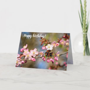 Tarjeta Flores De Sakura Frescas A La Luz Del Sol Y Púrpur