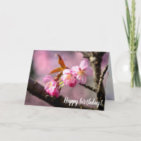 Flores De Sakura Rosa En Un Árbol En Primavera
