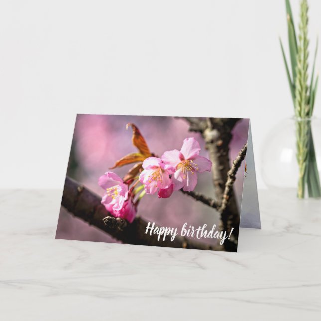 Tarjeta Flores De Sakura Rosa En Un Árbol En Primavera (Anverso)