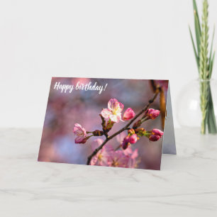 Tarjeta Flores De Sakura Soleadas Y Camaradas En Un Dulce