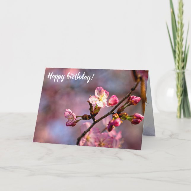 Tarjeta Flores De Sakura Soleadas Y Camaradas En Un Dulce  (Anverso)