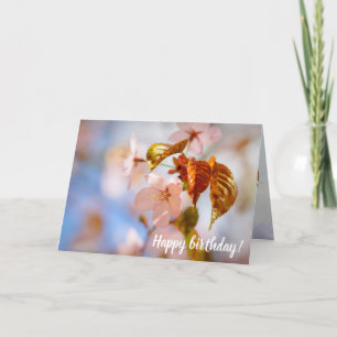 Tarjeta Flores De Sakura Y Salidas De Naranjas En Primaver