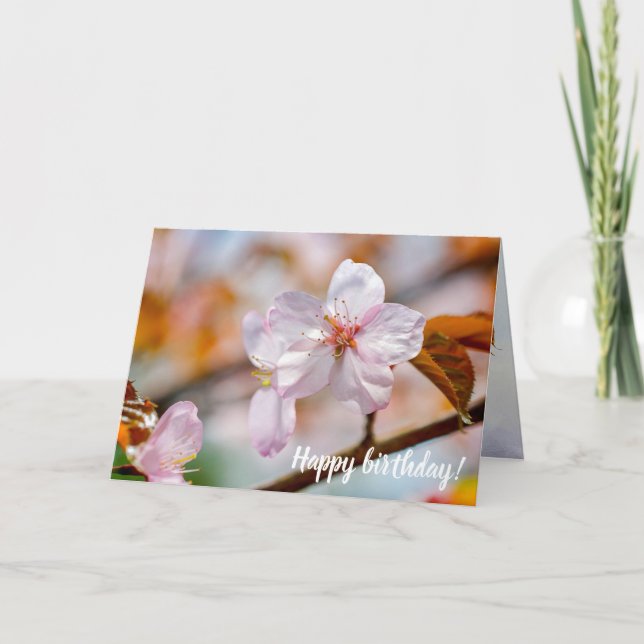 Tarjeta Flores De Sakura Y Salidas De Naranjas En Primaver (Anverso)