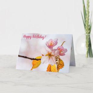 Tarjeta Flores De Sakura Y Suave Fondo Rosa De Primavera