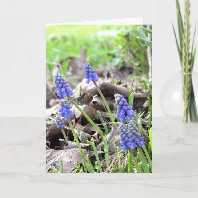 Tarjeta - Flores de Semana Santa (Anverso)