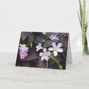 Tarjeta Flores de Trébol Morado Pensando en Ti Fotografía