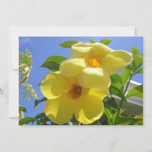 Tarjeta Flores de Trompeta Dorada I