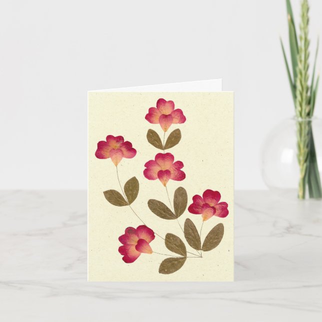 Tarjeta Flores de tubo rosa brillante presionadas (Anverso)