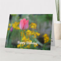 Flores De Tulipanes De Invierno Rosa Agradables