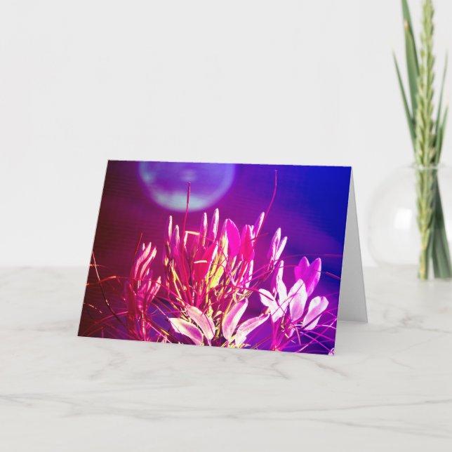 Tarjeta Flores de verano (Anverso)