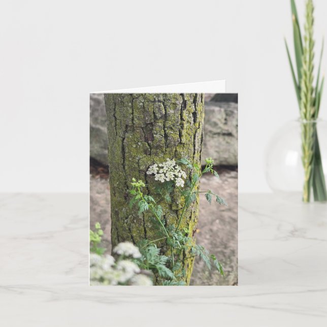 Tarjeta Flores de verano (Anverso)