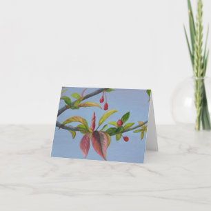 Tarjeta flores del crabapple