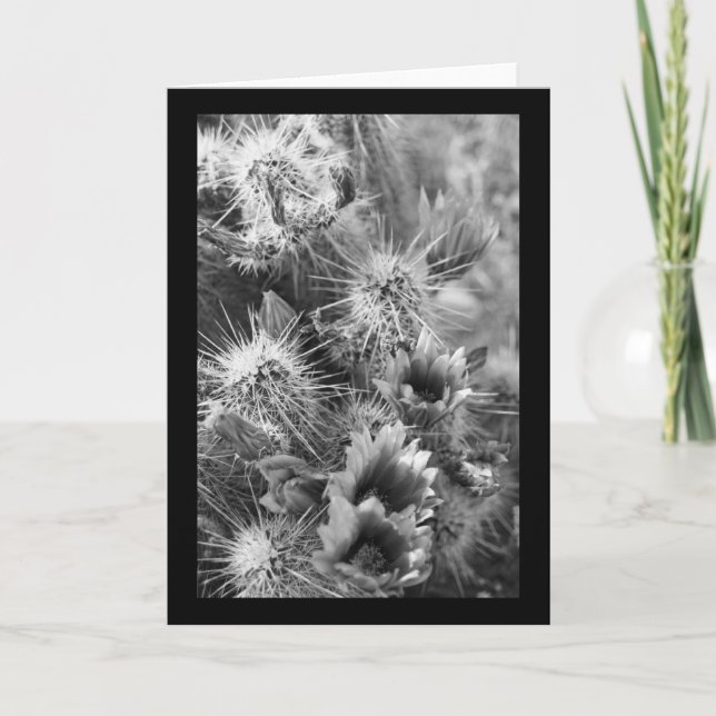 Tarjeta Flores del Desierto de Pricky Cactus Cartas de Sal (Anverso)