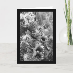 Tarjeta Flores del Desierto de Pricky Cactus Cartas de Sal