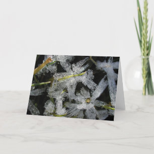 Tarjeta Flores del hielo