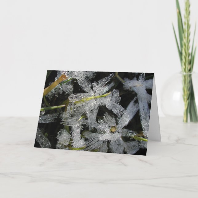 Tarjeta Flores del hielo (Anverso)