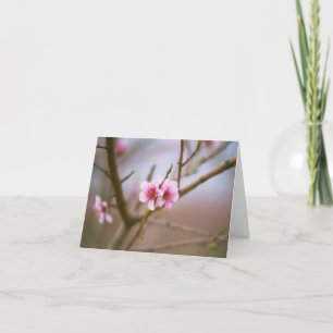Tarjeta Flores del melocotón de Tejas