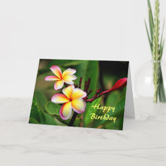 Tarjeta Flores del Plumeria de Maui, cumpleaños