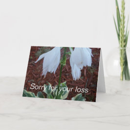 Tarjeta Flores delicadas blancas de Hosta del Sol en un pé