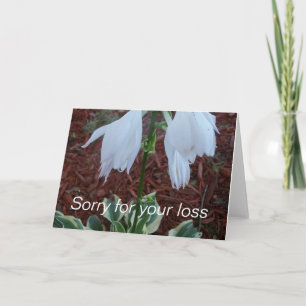 Tarjeta Flores delicadas blancas de Hosta del Sol en un pé